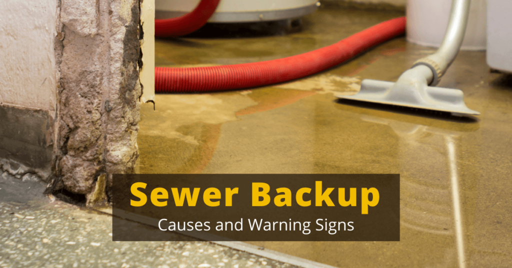 Signs of sewer back up in basement